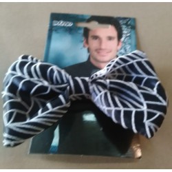 Noeud papillon noir et...