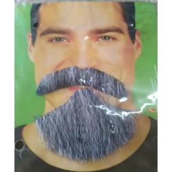 Moustache + barbe grises