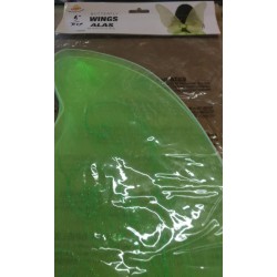 Ailes de papillon vert