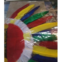 Coiffe d'amérindien