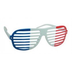 Lunette Tricolore en Grille